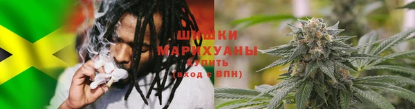 PSILOCYBIN Баксан