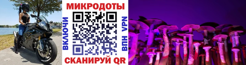 Галлюциногенные грибы Psilocybine cubensis Ленск